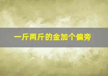 一斤两斤的金加个偏旁