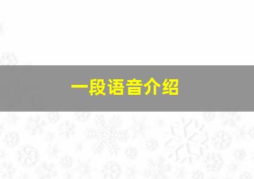 一段语音介绍