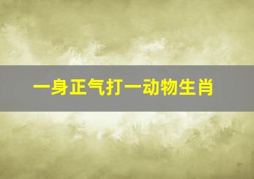 一身正气打一动物生肖