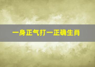 一身正气打一正确生肖