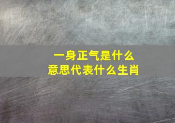 一身正气是什么意思代表什么生肖