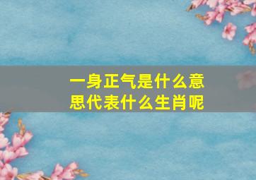 一身正气是什么意思代表什么生肖呢