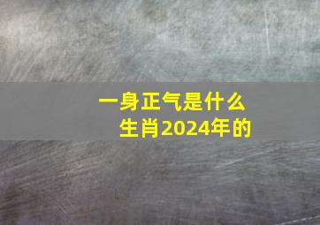 一身正气是什么生肖2024年的