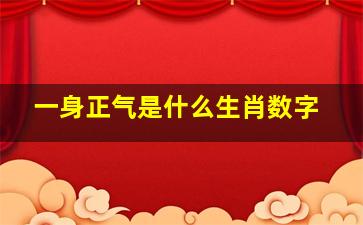 一身正气是什么生肖数字