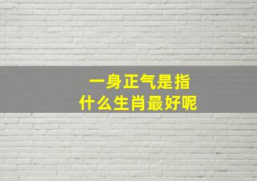 一身正气是指什么生肖最好呢