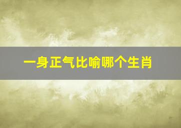 一身正气比喻哪个生肖