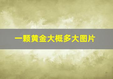 一颗黄金大概多大图片