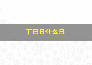 丁巳日什么日