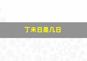 丁未日是几日