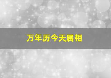 万年历今天属相