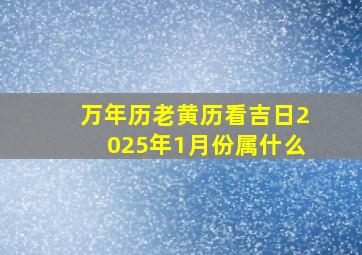 万年历老黄历看吉日2025年1月份属什么