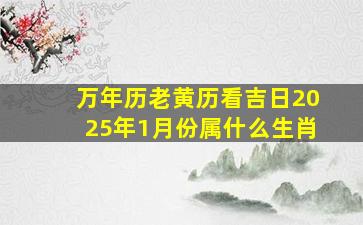 万年历老黄历看吉日2025年1月份属什么生肖