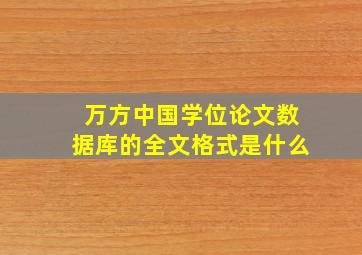 万方中国学位论文数据库的全文格式是什么