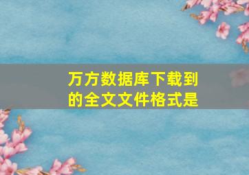 万方数据库下载到的全文文件格式是