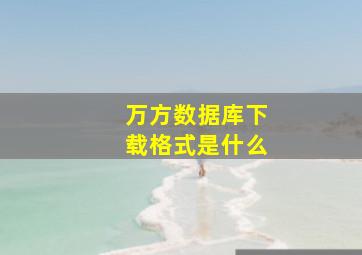 万方数据库下载格式是什么