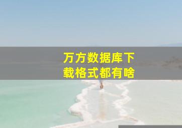 万方数据库下载格式都有啥