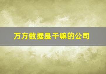 万方数据是干嘛的公司