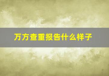 万方查重报告什么样子