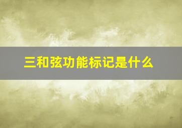 三和弦功能标记是什么