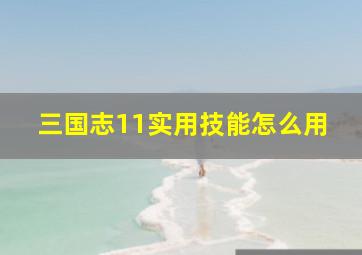 三国志11实用技能怎么用