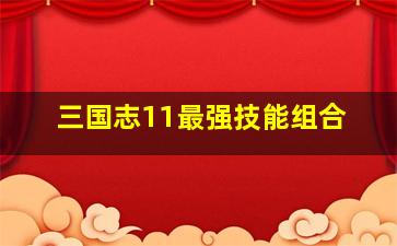 三国志11最强技能组合