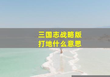 三国志战略版打地什么意思