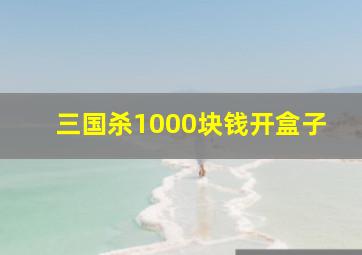 三国杀1000块钱开盒子