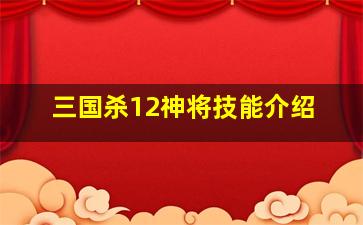 三国杀12神将技能介绍