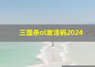 三国杀ol激活码2024