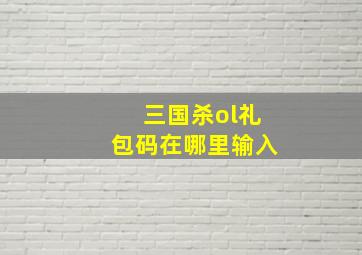 三国杀ol礼包码在哪里输入