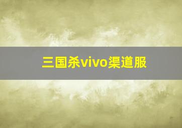 三国杀vivo渠道服