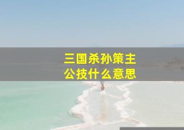 三国杀孙策主公技什么意思