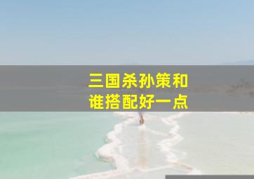 三国杀孙策和谁搭配好一点