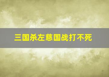 三国杀左慈国战打不死