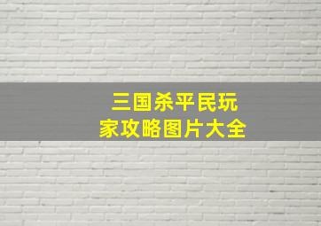 三国杀平民玩家攻略图片大全