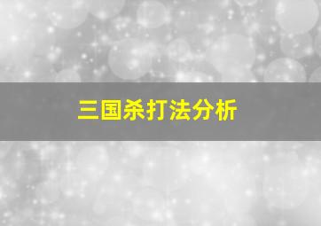 三国杀打法分析