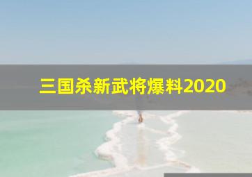 三国杀新武将爆料2020