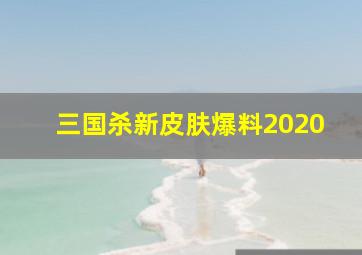 三国杀新皮肤爆料2020