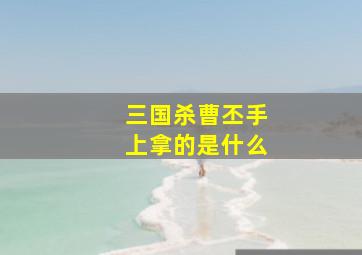 三国杀曹丕手上拿的是什么