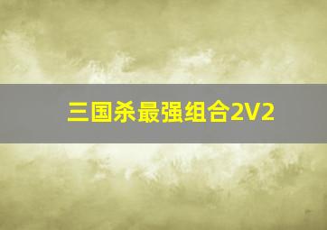 三国杀最强组合2V2