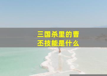 三国杀里的曹丕技能是什么