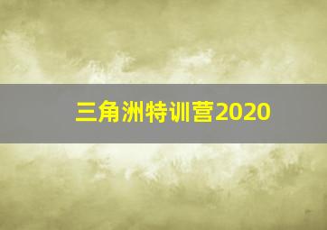 三角洲特训营2020