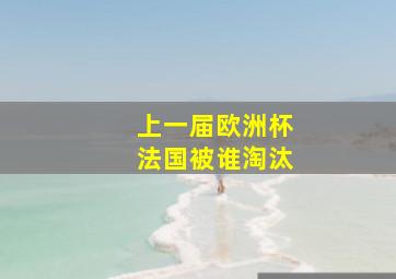 上一届欧洲杯法国被谁淘汰