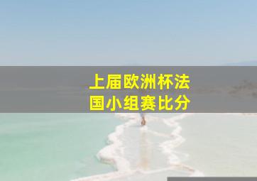 上届欧洲杯法国小组赛比分