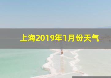 上海2019年1月份天气