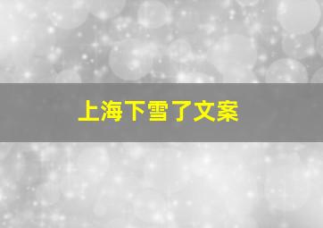 上海下雪了文案