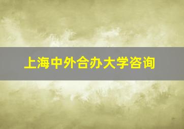 上海中外合办大学咨询