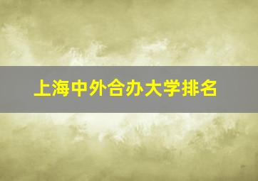 上海中外合办大学排名