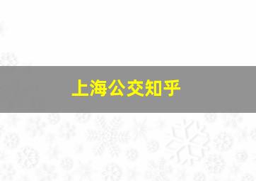 上海公交知乎