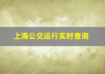 上海公交运行实时查询